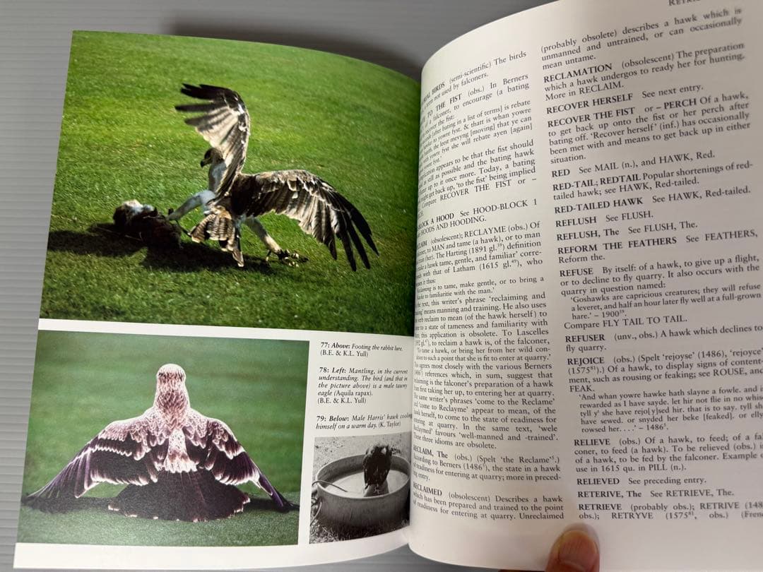 THE ENCYCLOPEDIA OF FALCONRY 鷹狩り 猛禽類 洋書