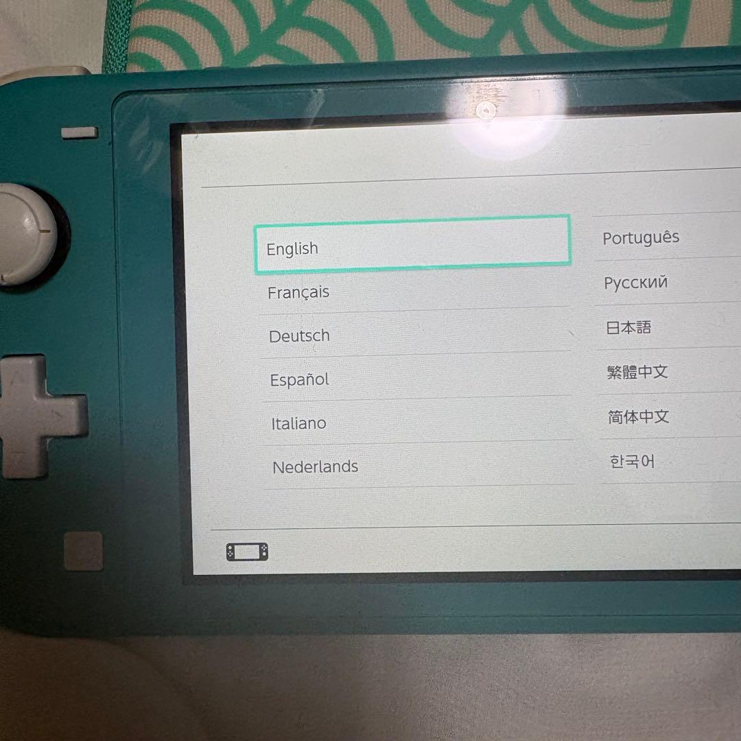 Nintendo Switch Lite ターコイズ 充電器、ケース付き