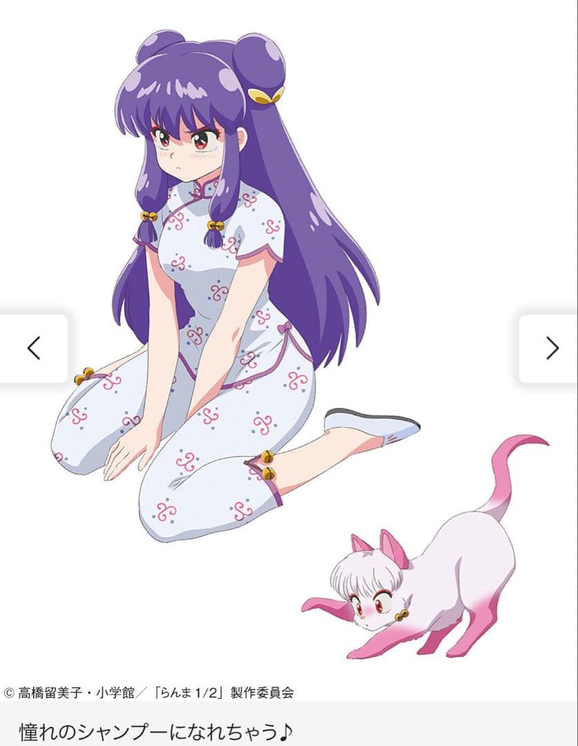 らんま　シャンプー　コラボパジャマ　新品未開封　フェリシモ　大きいサイズ　メンズ