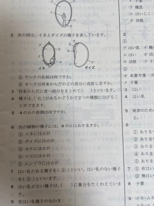 小学5年 理科 記憶の535