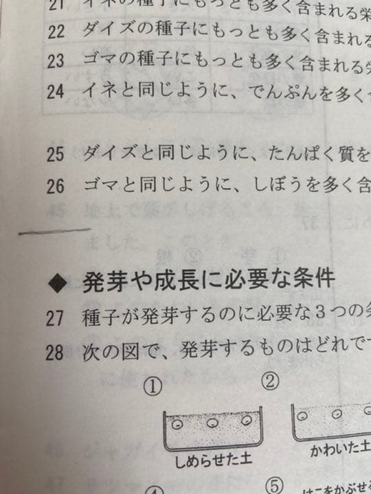 小学5年 理科 記憶の535