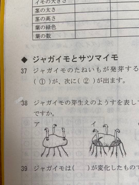 小学5年 理科 記憶の535