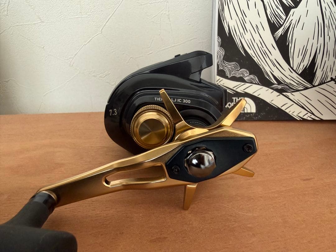 リール Daiwa TIERRA LJ IC300H