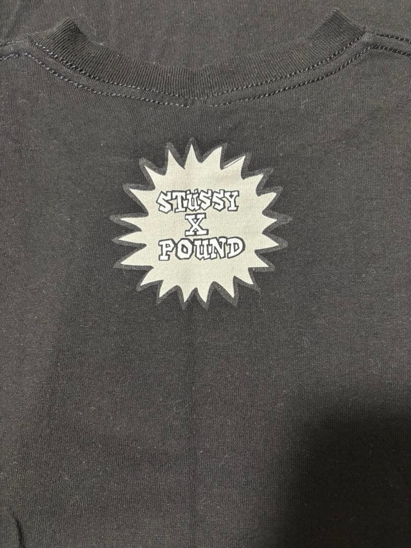 STUSSYステューシーＴシャツ