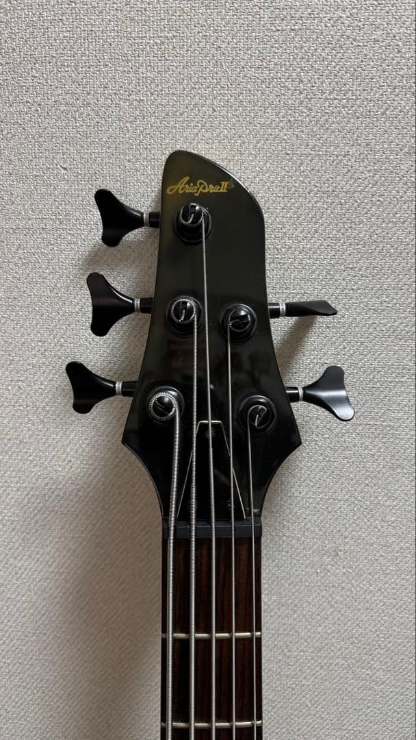 【5弦】Aria Pro Ⅱ IGB-STDIII/5