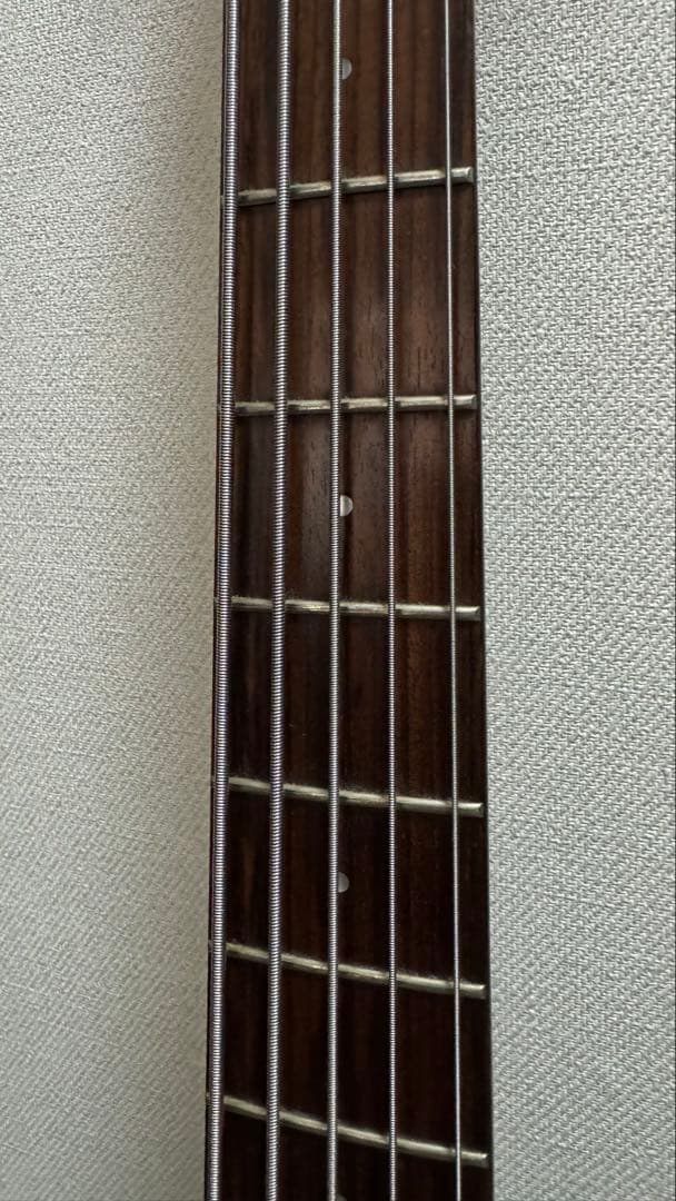 【5弦】Aria Pro Ⅱ IGB-STDIII/5