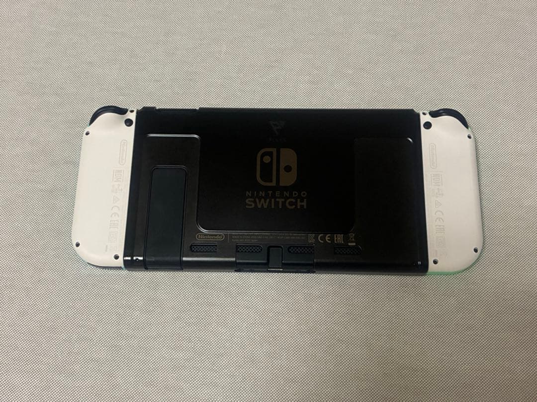 Nintendo Switch 本体 あつまれどうぶつの森セット 公式ケース付き