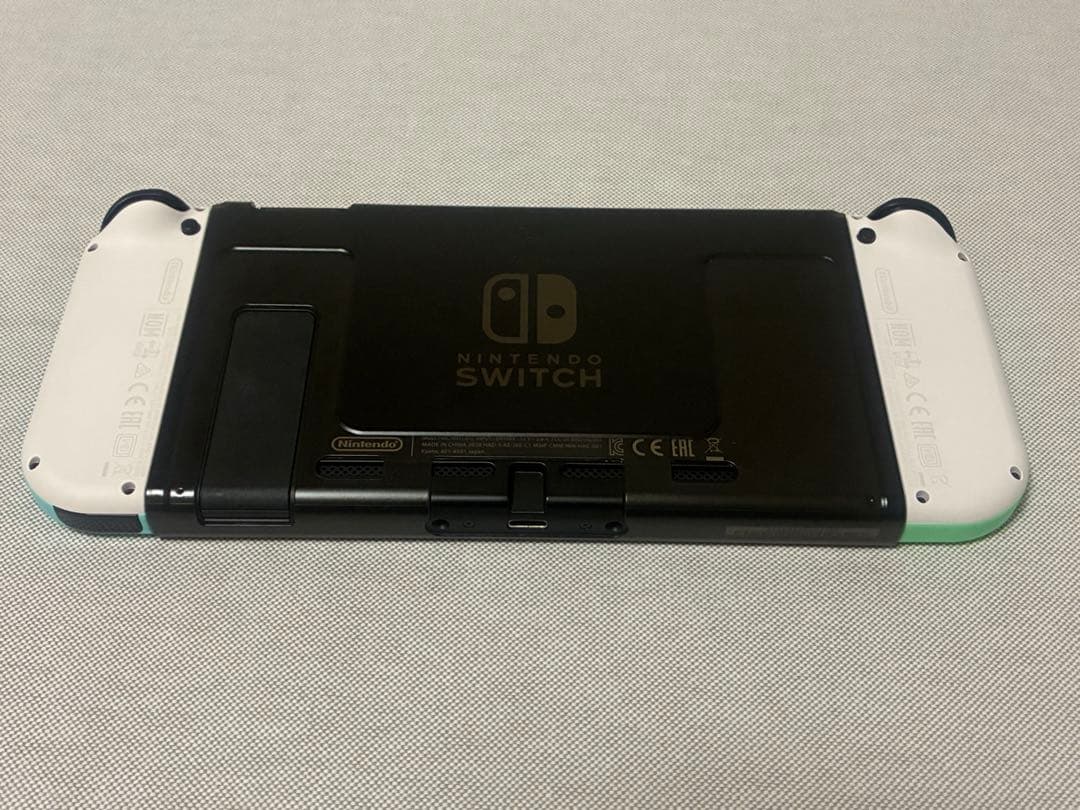 Nintendo Switch 本体 あつまれどうぶつの森セット 公式ケース付き