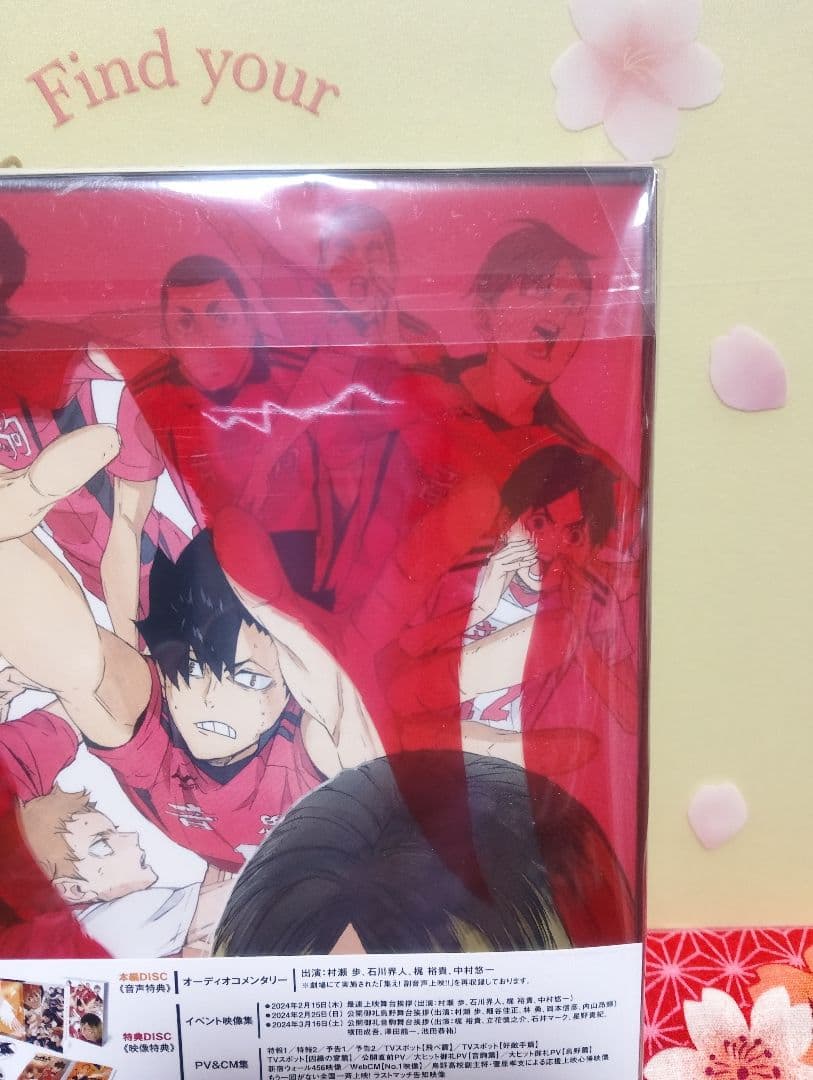 【未開封品】劇場版 ハイキュー!! ゴミ捨て場の決戦 2枚組 DVD