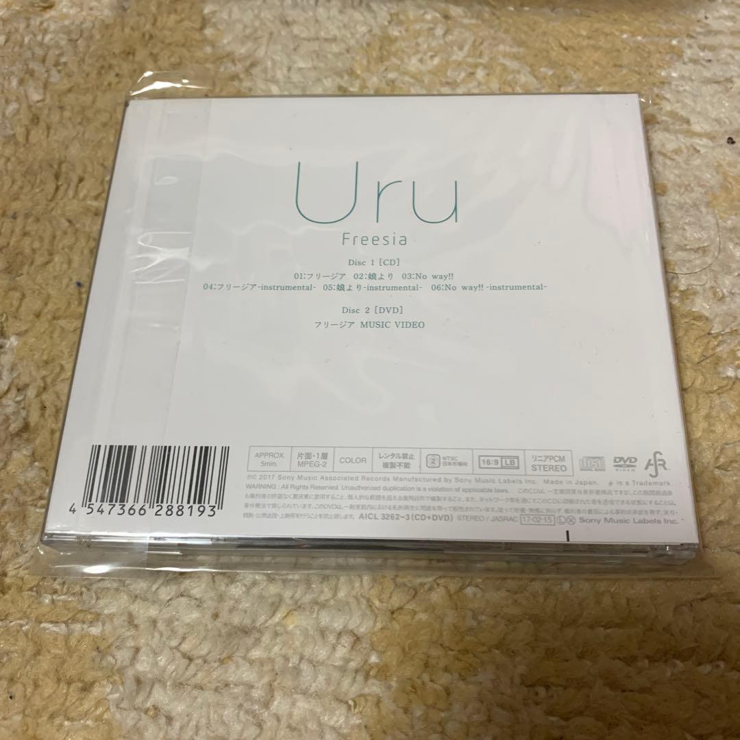 フリージア