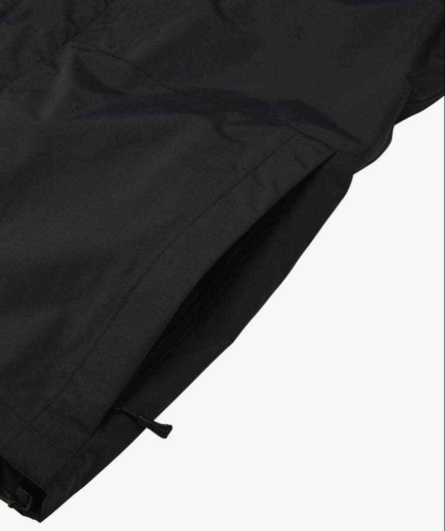 リ*ウ様 THE NORTH FACE スノーウェア 試着のみ L ブラック