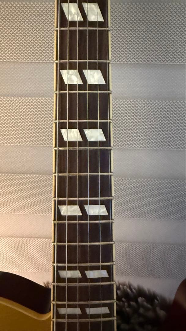 BRUNO TN-295 ゴールドトップ
