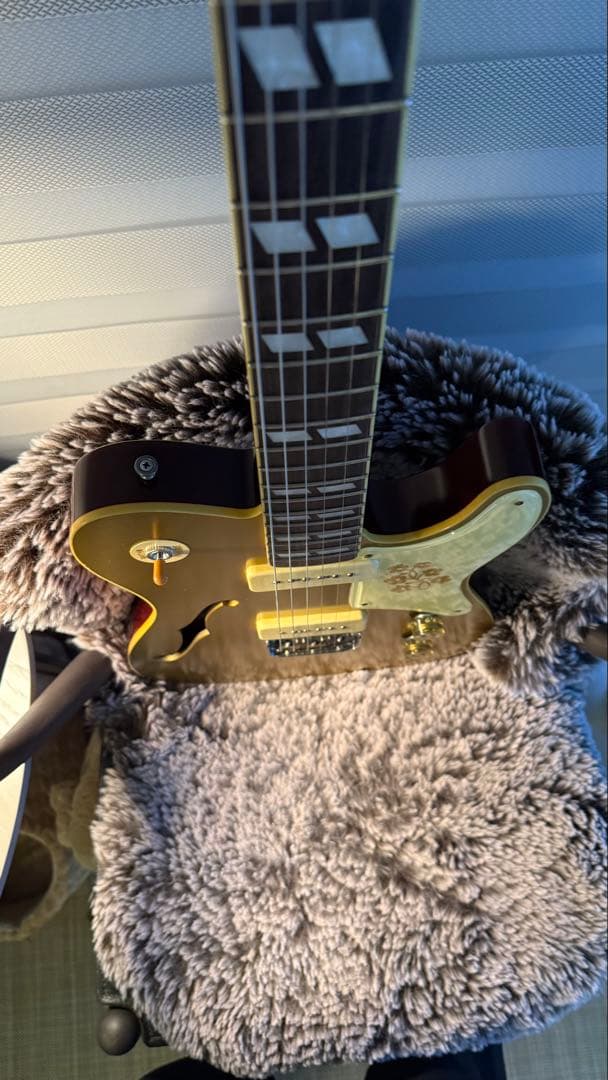 BRUNO TN-295 ゴールドトップ