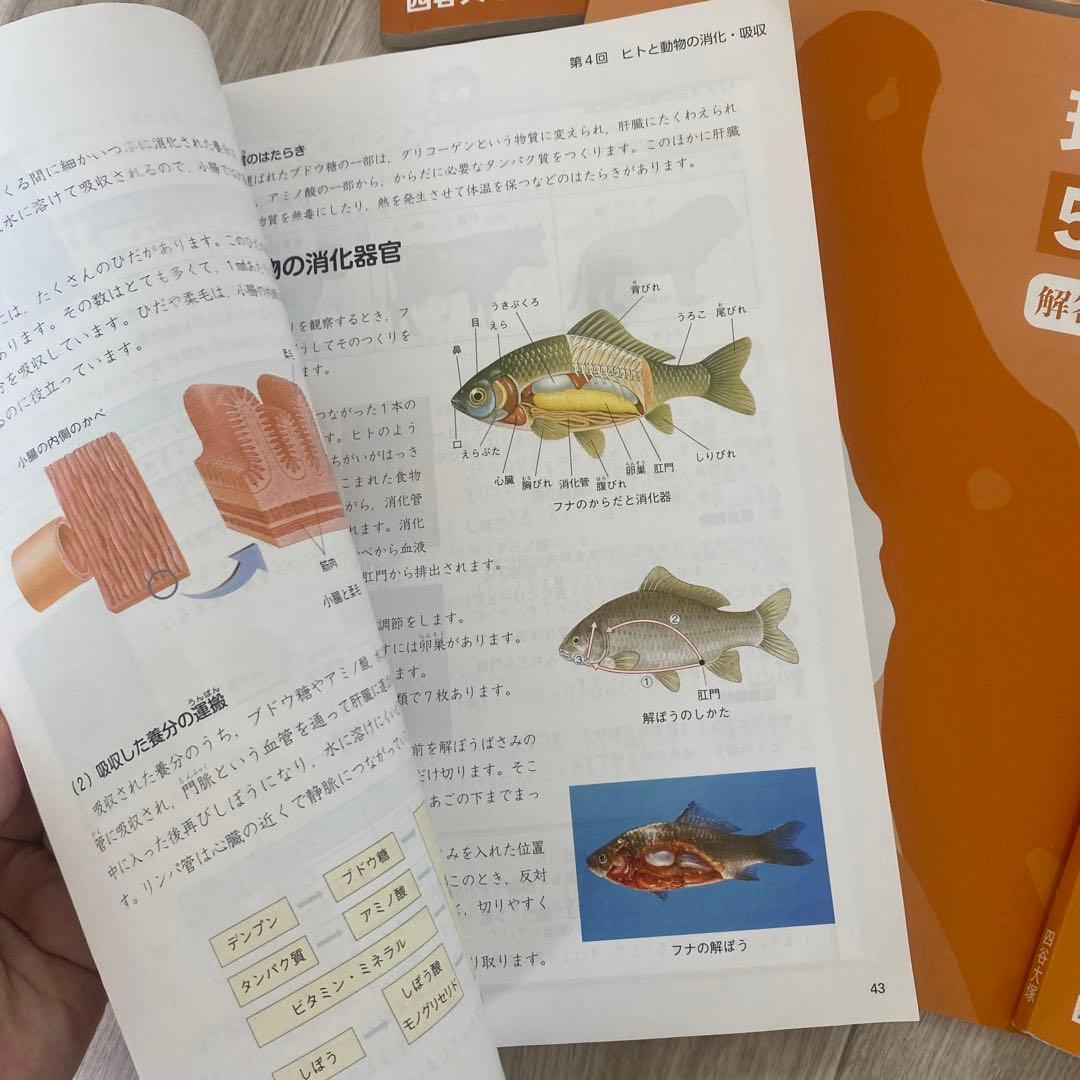 中学受験 予習シリーズ テキスト 演習問題集 理科 5年上下セット