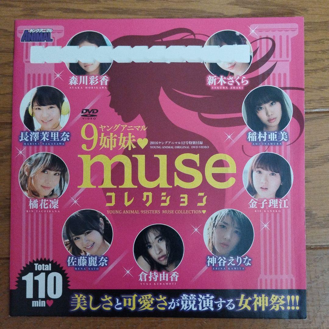 ※翔太　DVD11枚セット