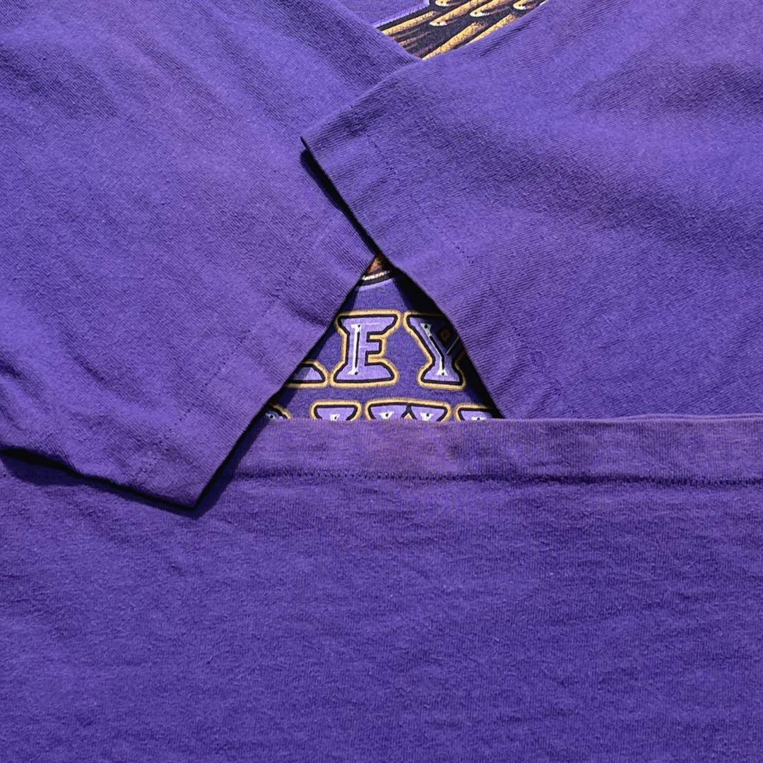 90s ハーレーダビットソン ビンテージTシャツ L相当 紫 ネイティブ6924