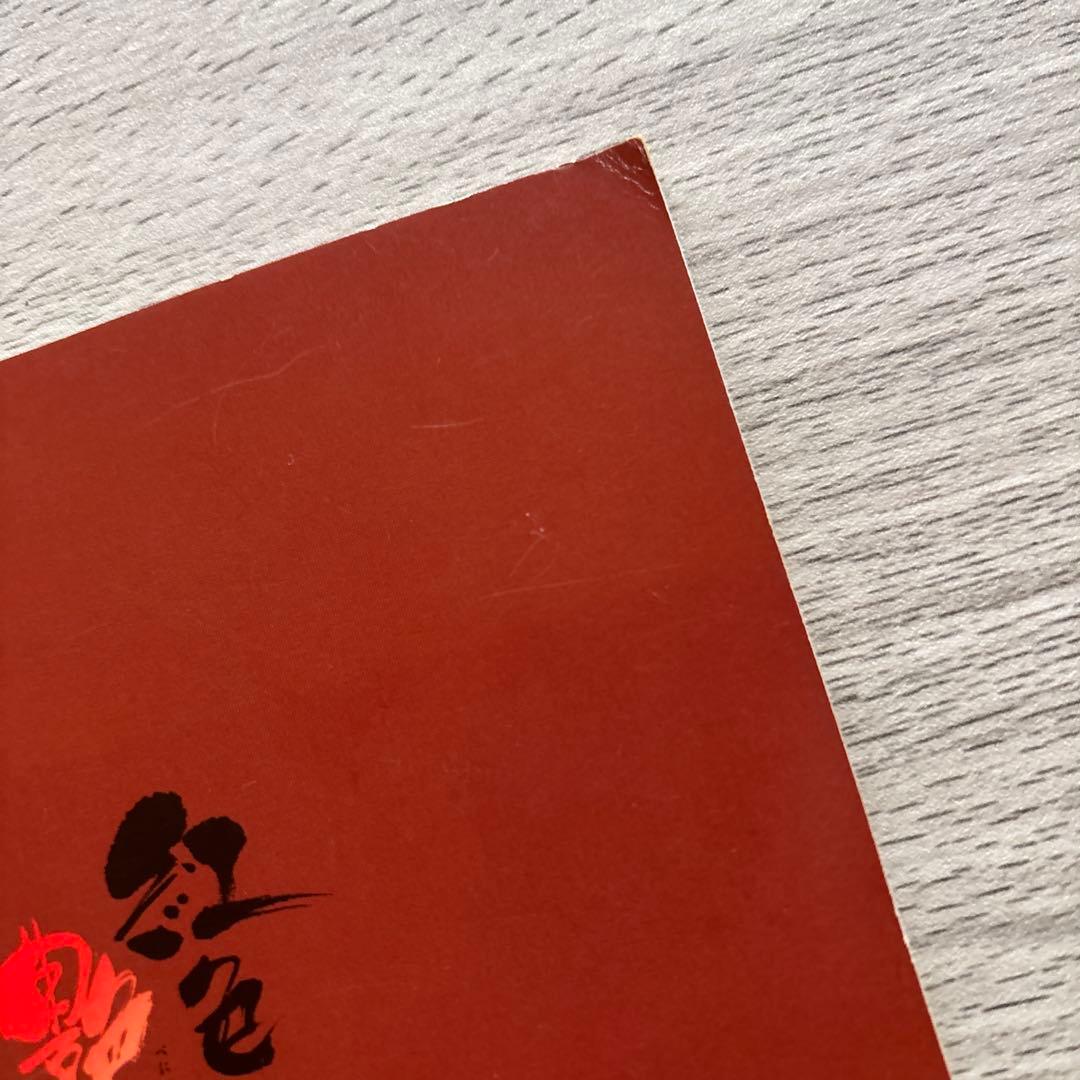 紅色天井艶妖奇譚 中条ローザ 九重 臘月 病める王 小説集 ファンブック