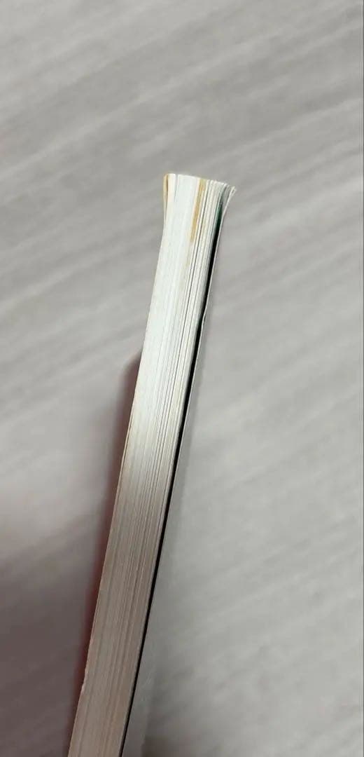 紅色天井艶妖奇譚 中条ローザ 九重 臘月 病める王 小説集 ファンブック