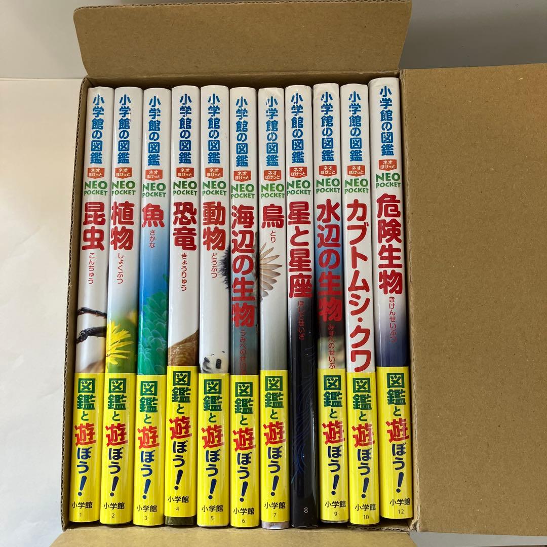 小学館の図鑑　NEOポケット 11巻