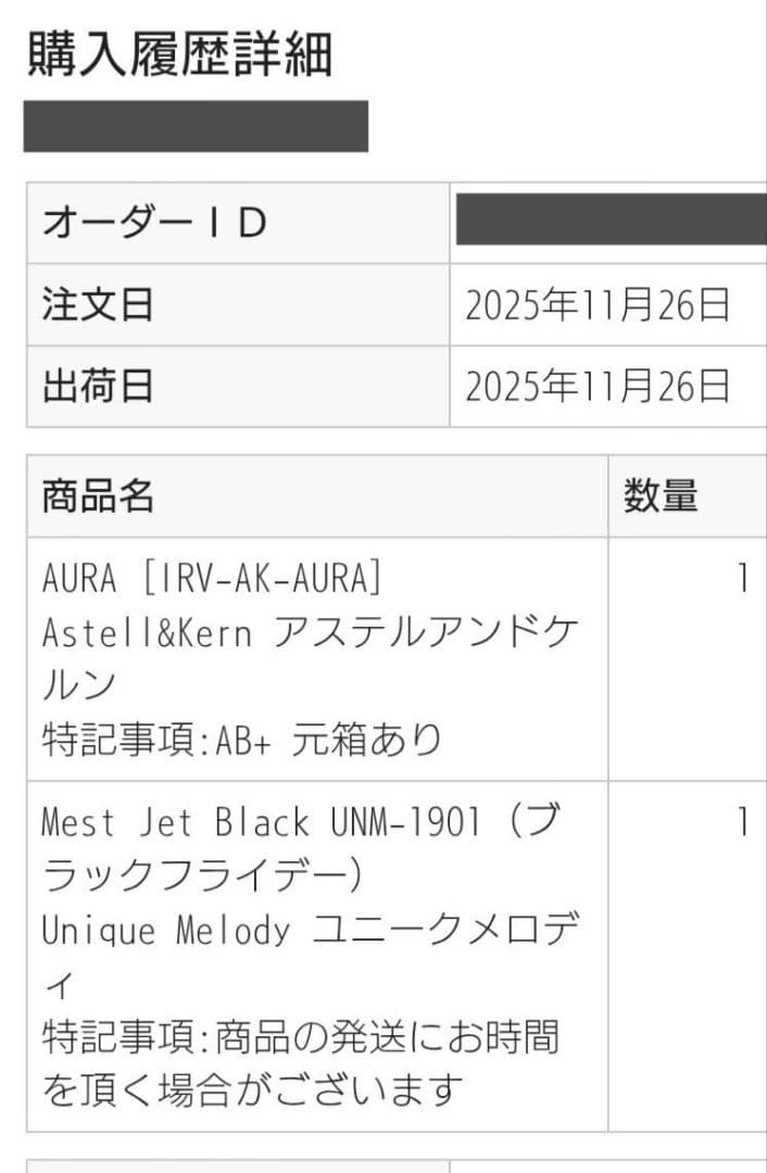 イヤホン Mest Jet Black