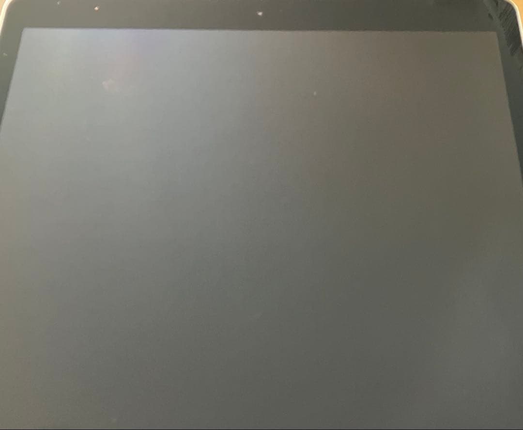 【完動品】iPad Pro 12.9 128GB 【すぐ発送】