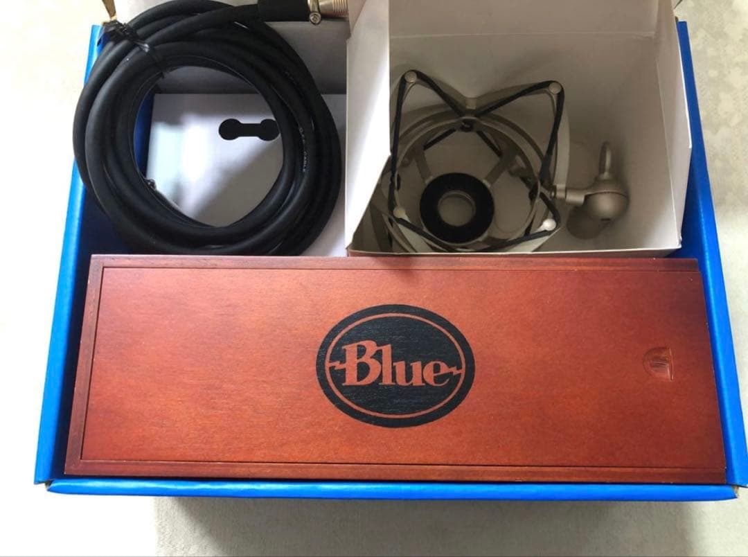 【美品】Blue baby bottle SL コンデンサーマイク