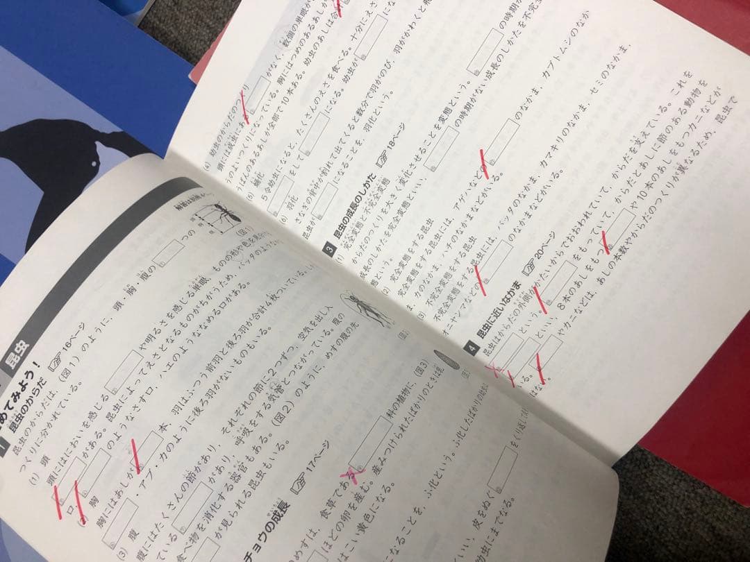 四谷大塚4年予習シリーズ国算理社/計算/漢字/上下/夏期　2024年度版　中古