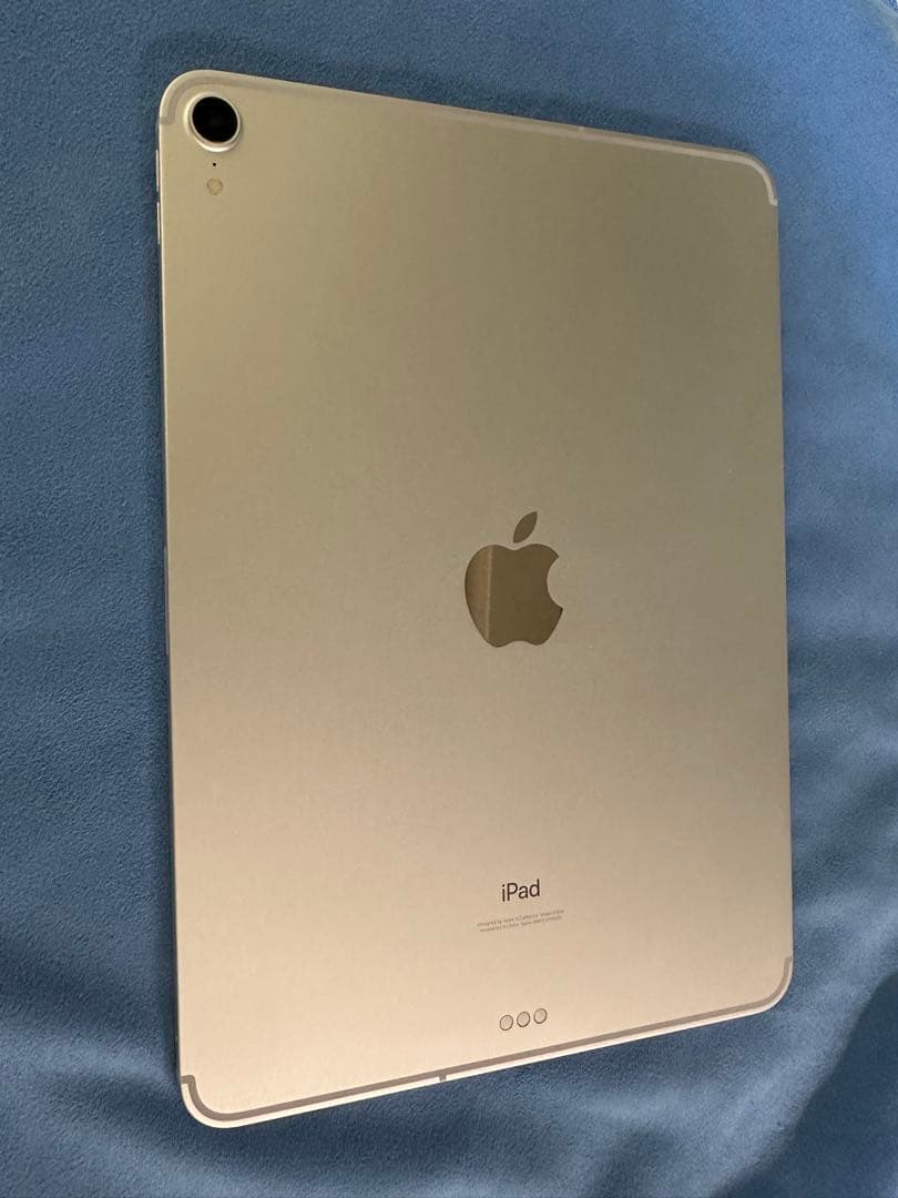 専用　Apple iPad pro 11インチ