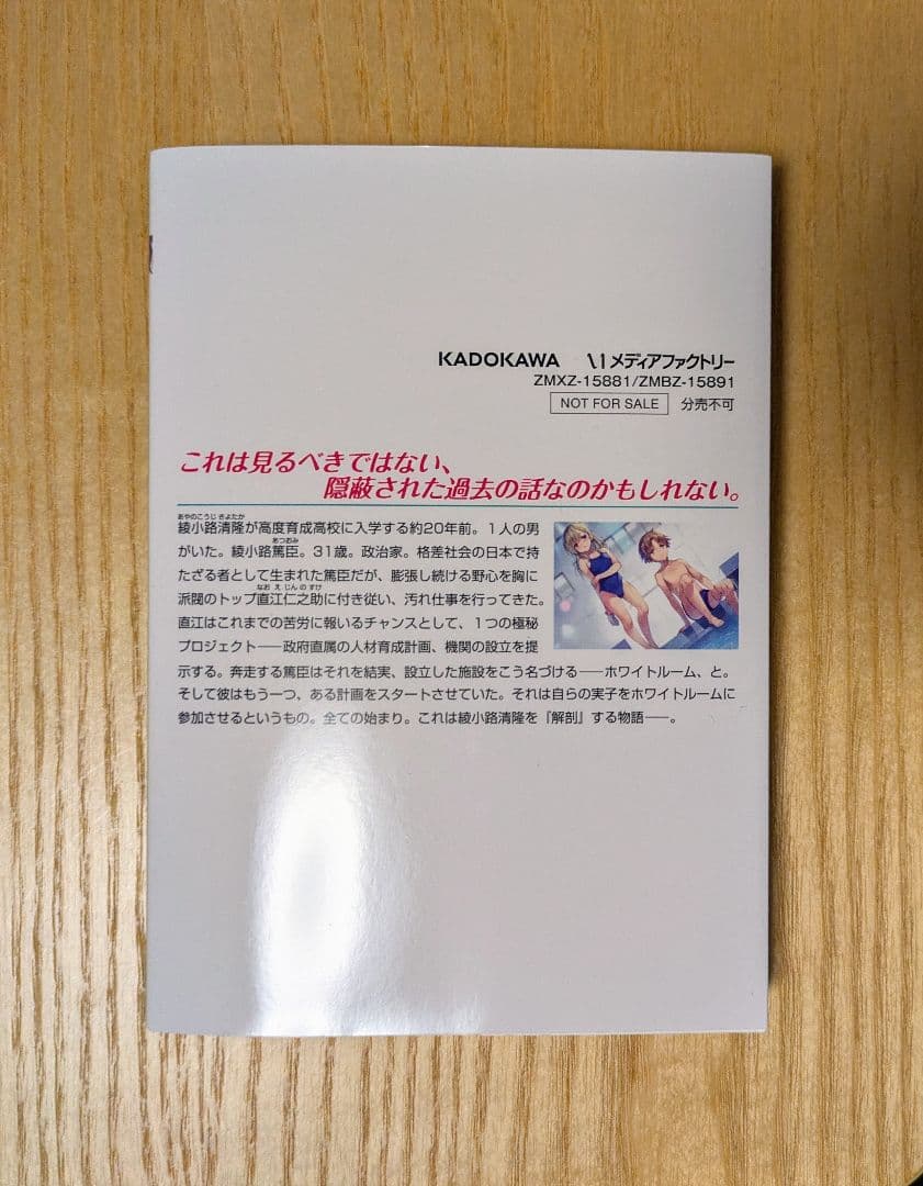 ようこそ実力至上主義の教室へ 2nd Season 初回生産版特典　小説0巻