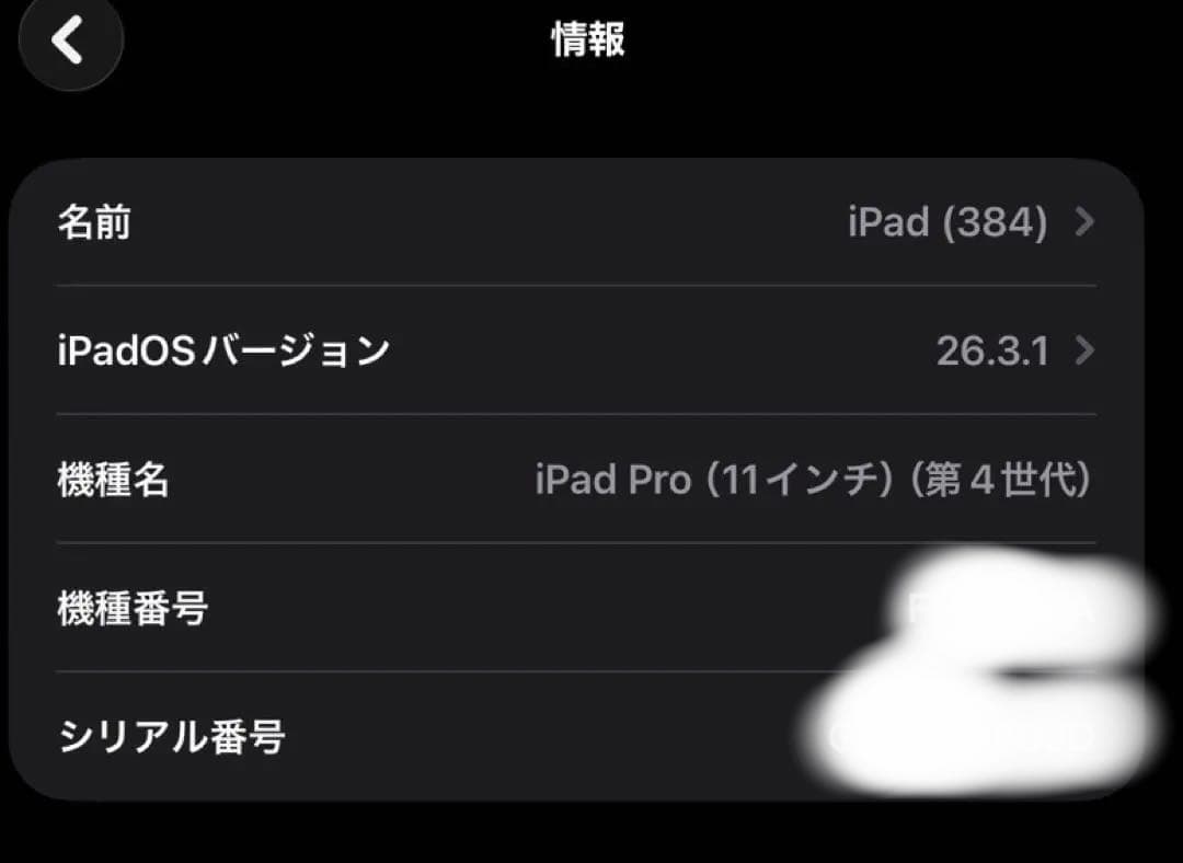 iPadPro 11インチ256GBWi-Fi M2(バッテリー最大容量99%)