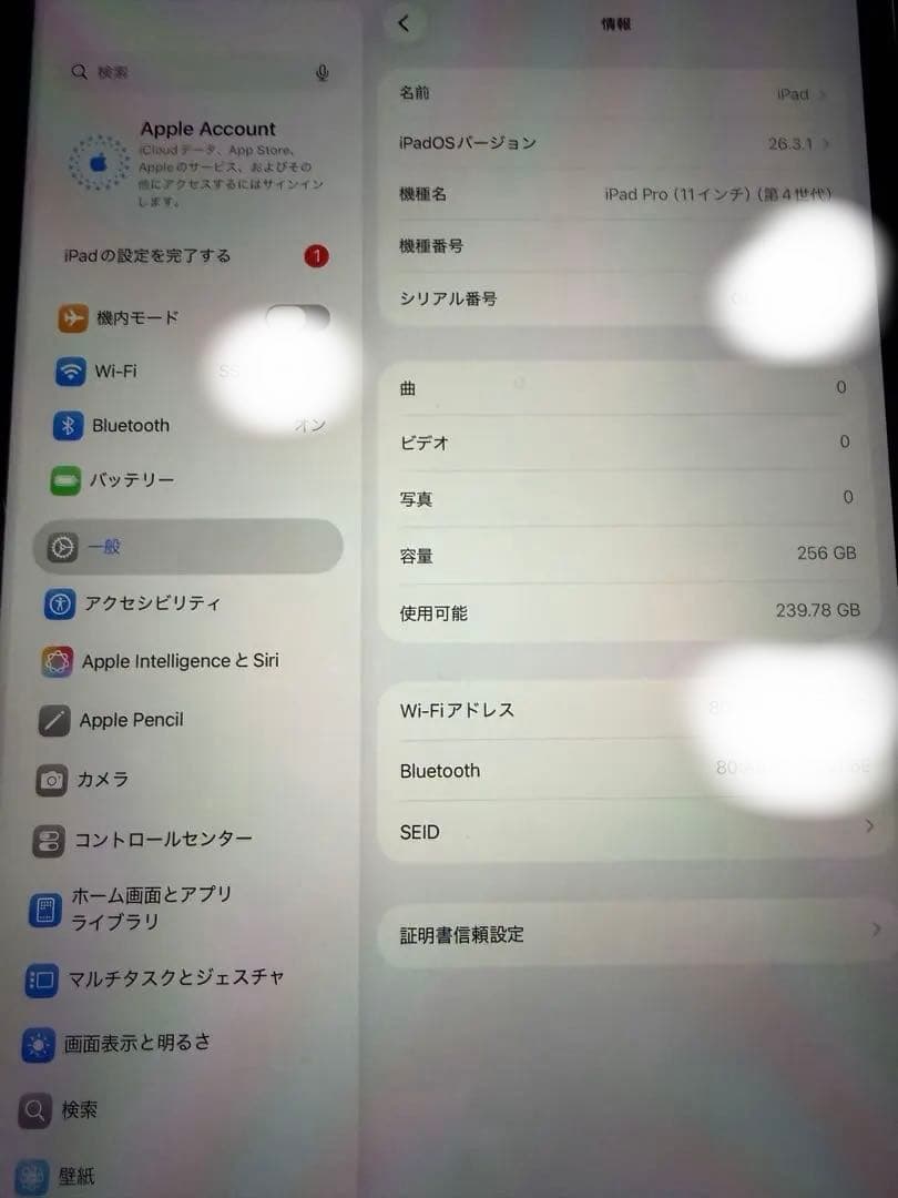 iPadPro 11インチ256GBWi-Fi M2(バッテリー最大容量99%)