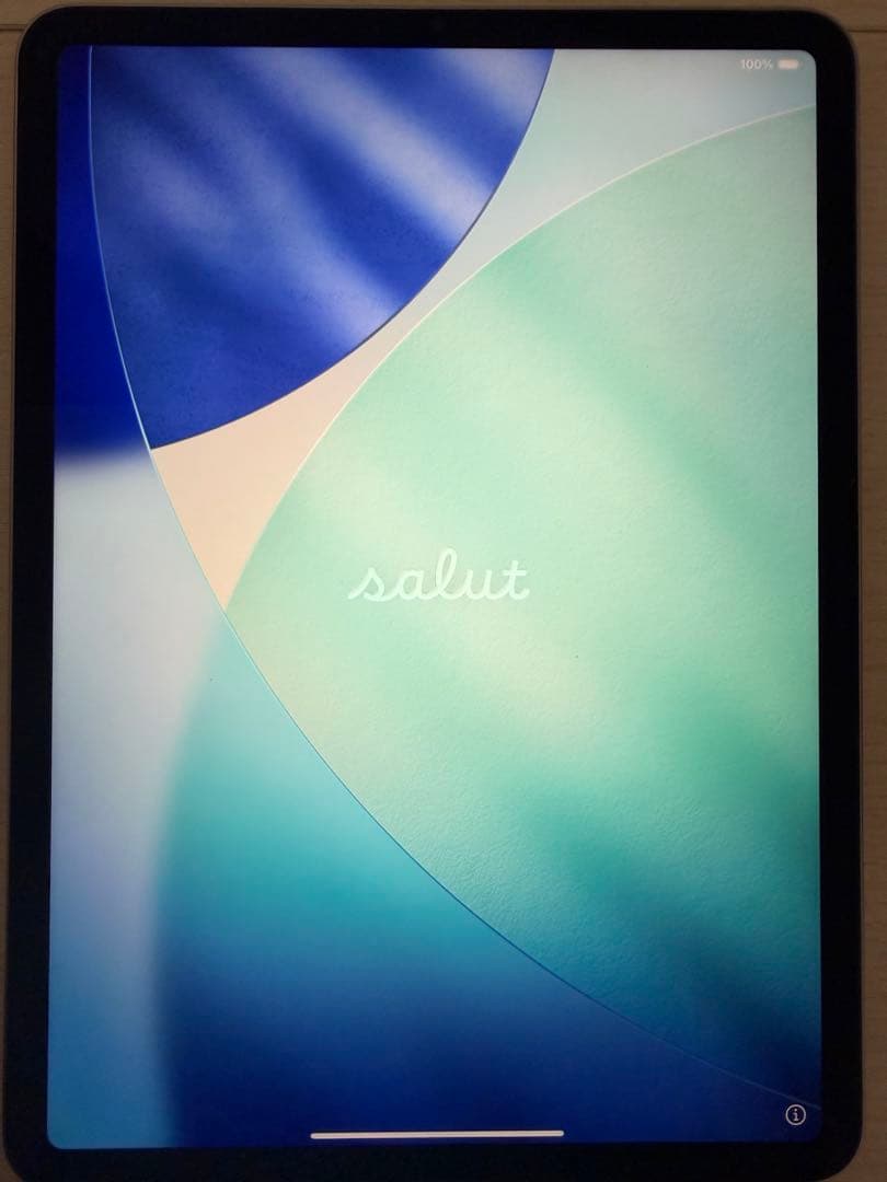 iPadPro 11インチ256GBWi-Fi M2(バッテリー最大容量99%)