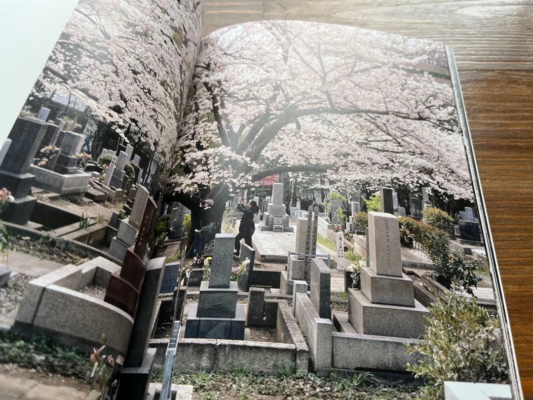 Hanami | Aoyama 花見青山 Keith Ng