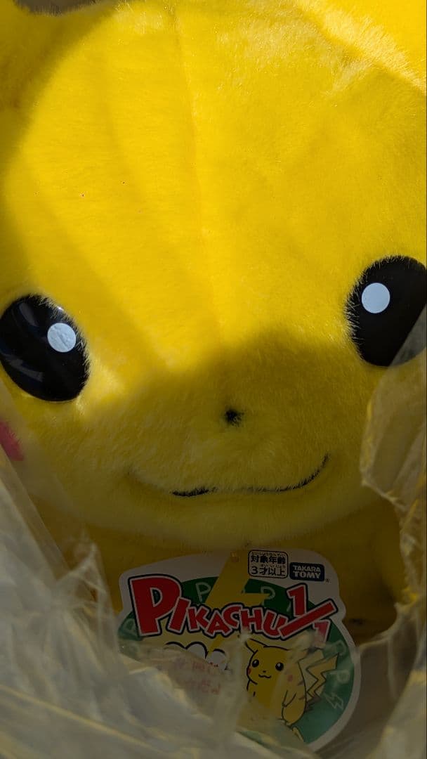 A*t様 ポケモン30周年記念 おかえりピカチュウ1/1