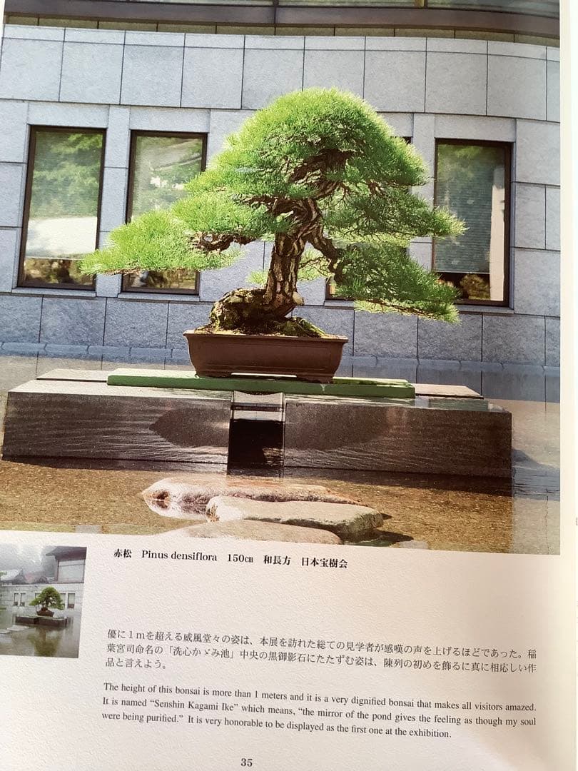 日本大宝樹展　写真集　限定本