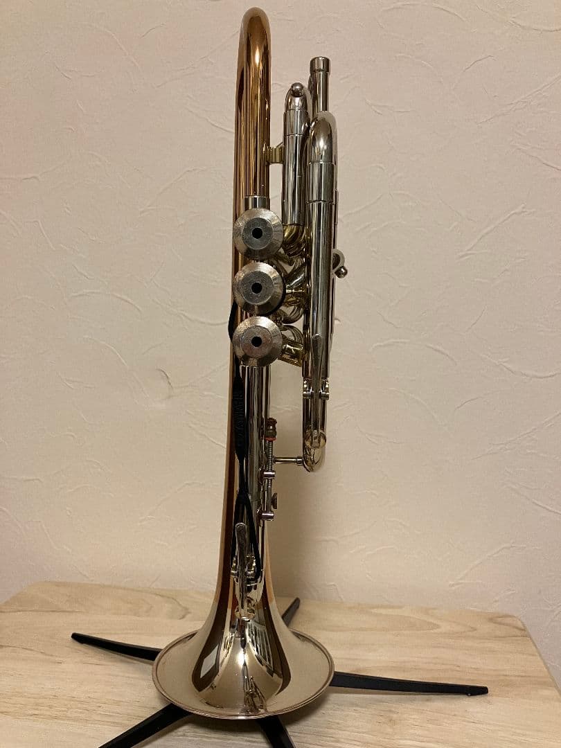 【値下げ】Holton Collegiate ホルトン　カレッジエイト　USA製