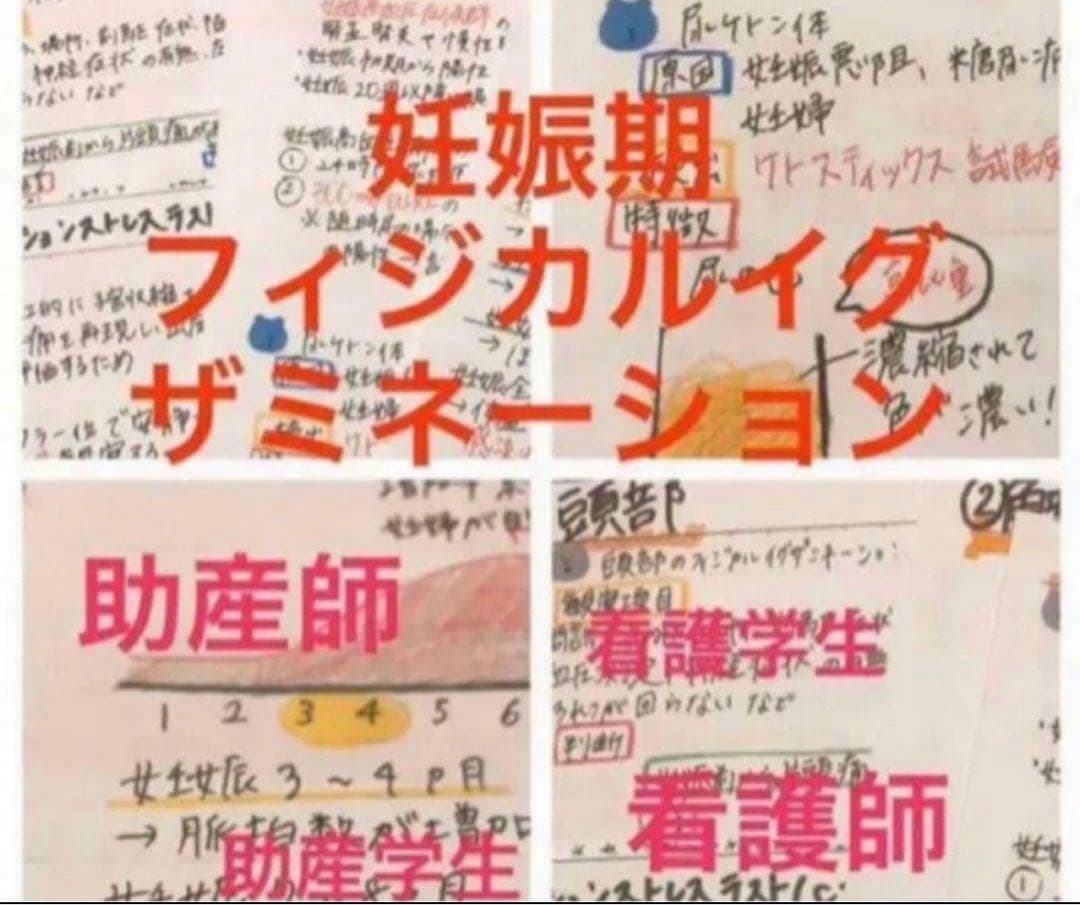 助産師　助産学生　実習国家試験対策味方セット　解剖帝王切開　フィジカル　事前学習