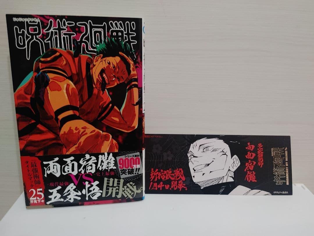 呪術廻戦 特装版＆0巻あり全巻セット＋小説＋劇場版パンフ＆0.5巻＋ファンブック
