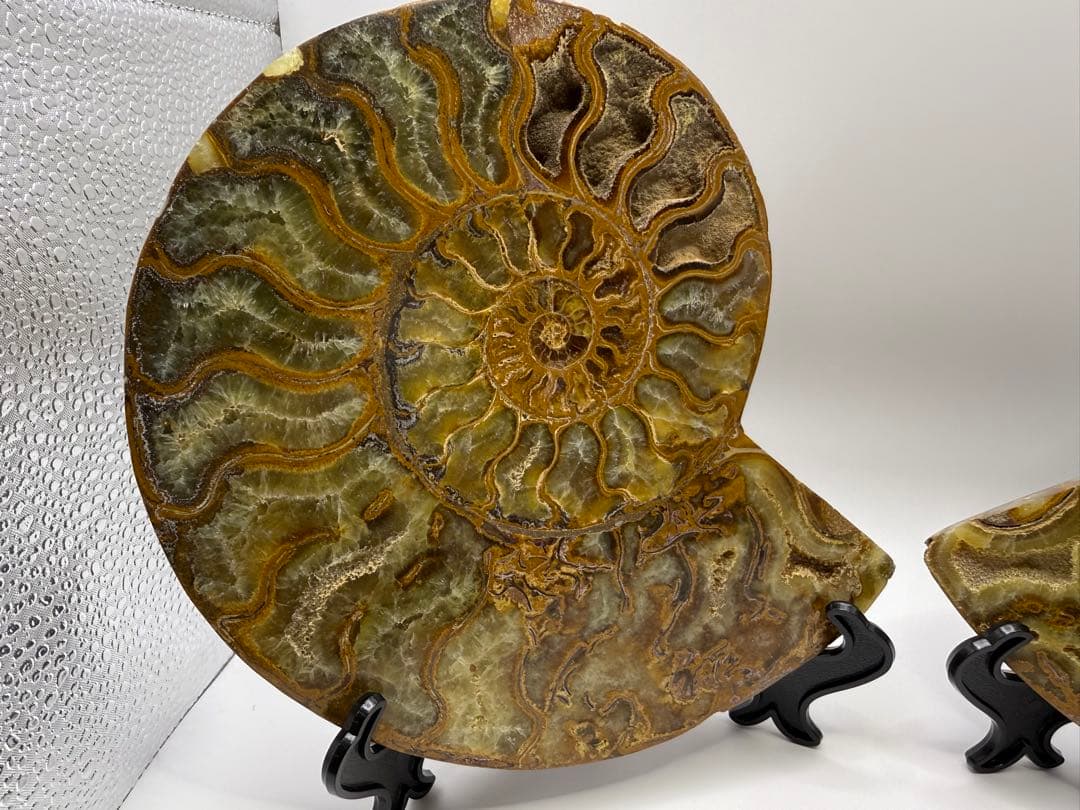 古代さま専用