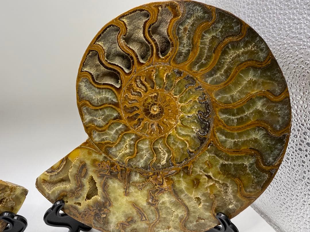 古代さま専用