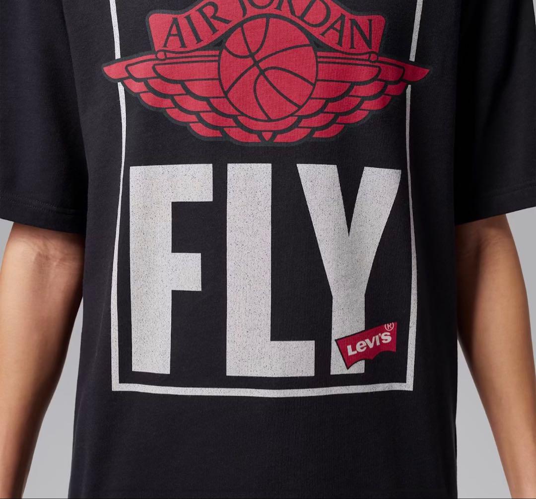 トップス Nike Jordan LEVI'S Graphic Short-Sleeve