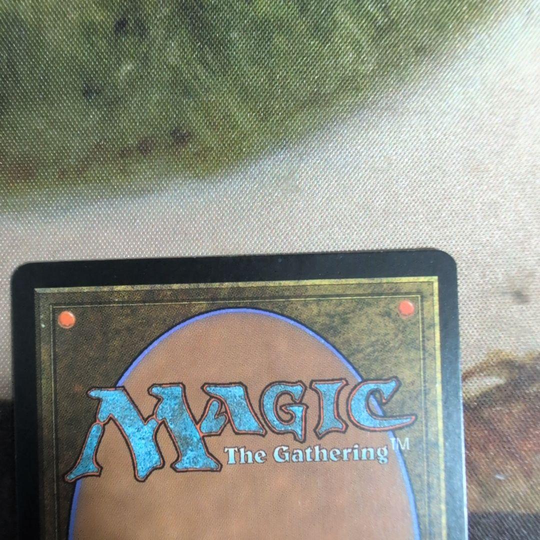 MTG　霧深い雨林/Misty Rainforest　初版　Foil