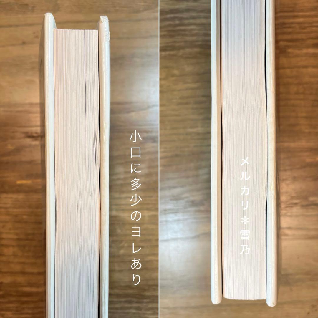 DUCHAMP DADA デュシャン・ダダ　作品集【アート・洋書】