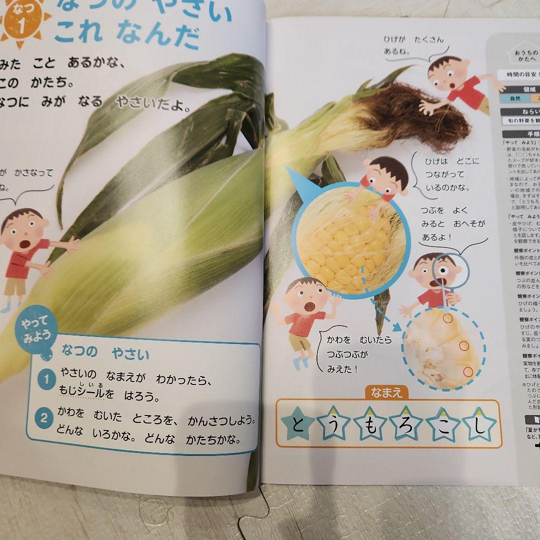 Z会　年中　かんがえるちからワーク　ペアゼットセット