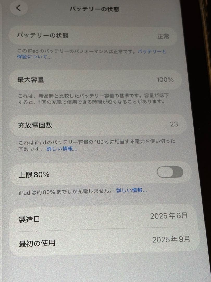 iPad mini (A17 Pro) ペン・カバー付　セット