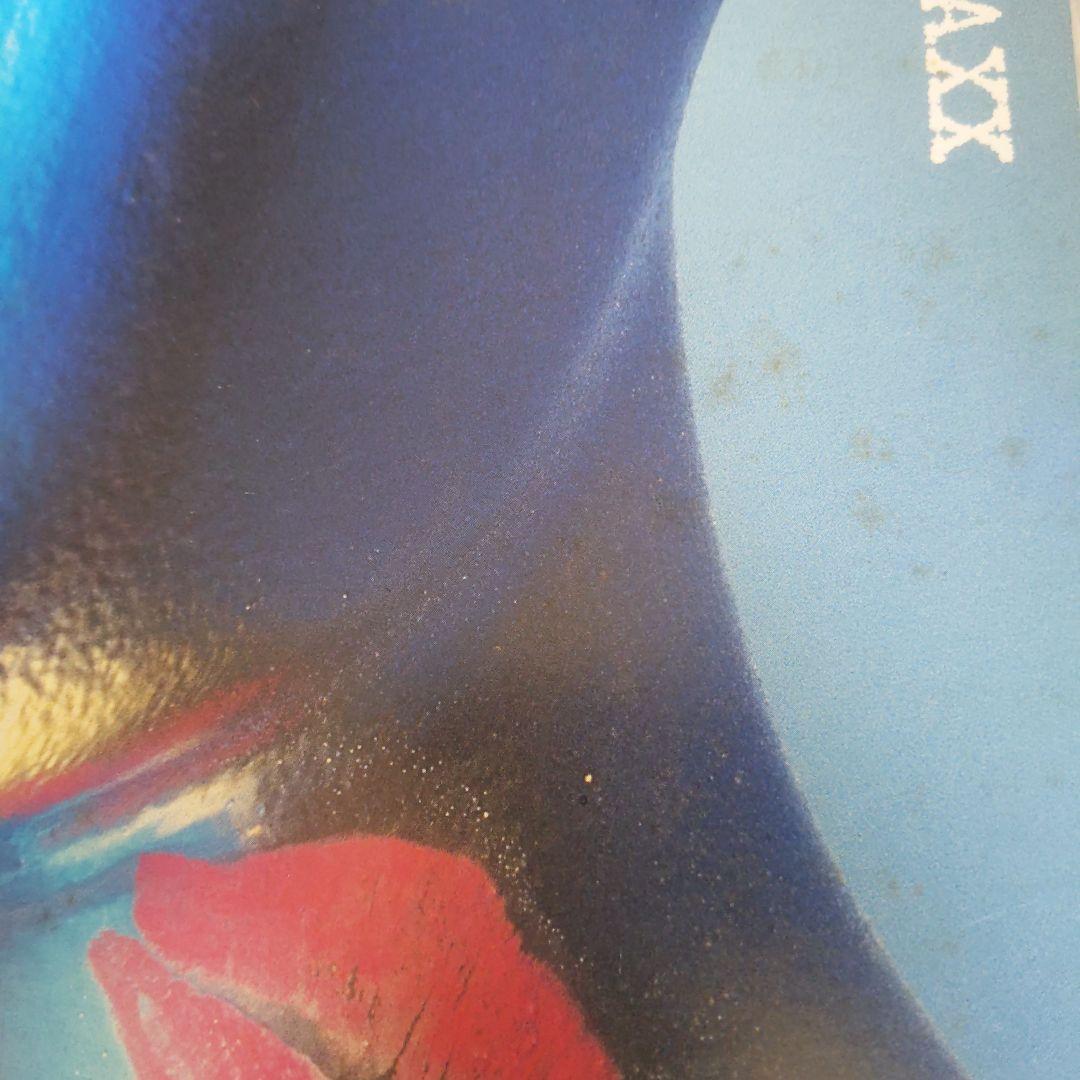 The Limit 　Oattes Van Schaik Love 　レコード