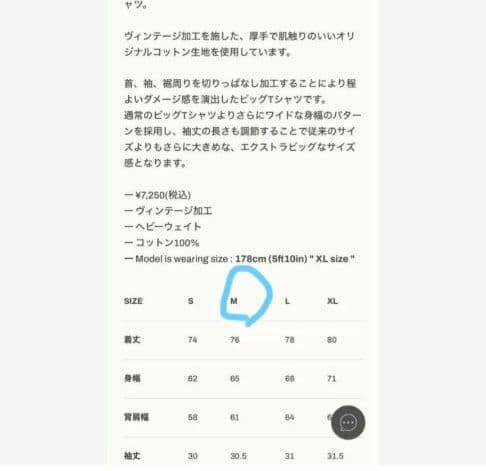 ま*了様 LYFT ドーベルマン Tシャツ アイボリー