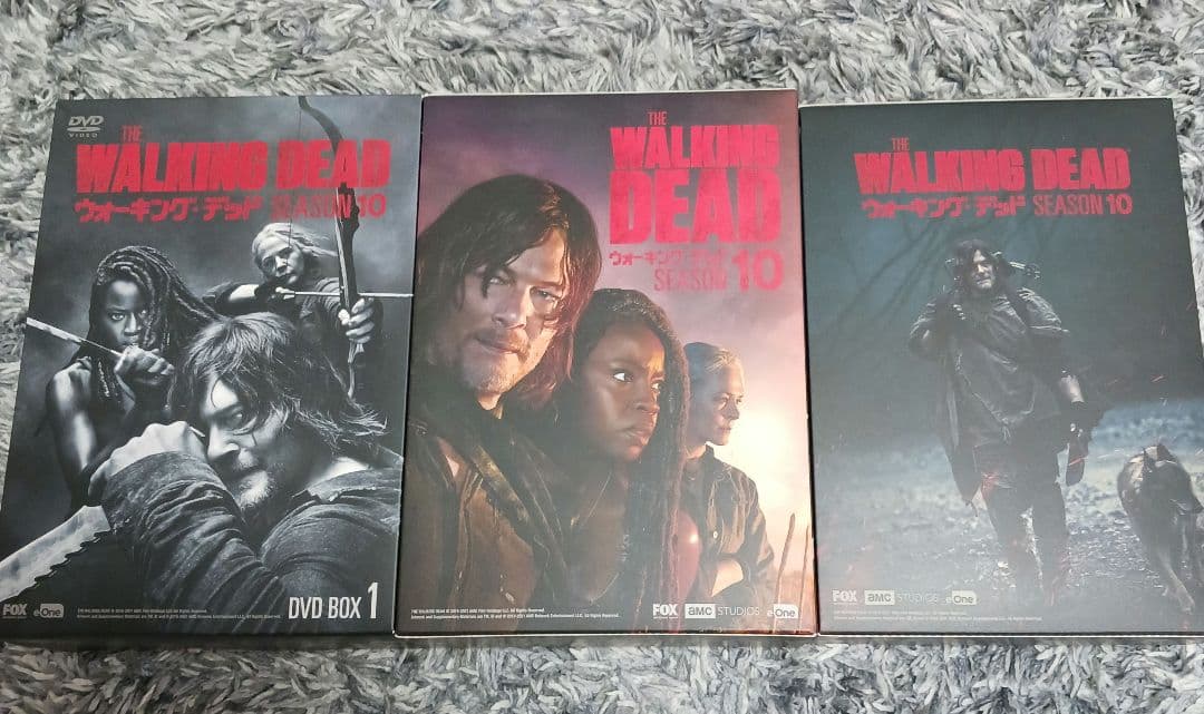 THE WALKING DEAD SEASON 10 DVD 全11巻
