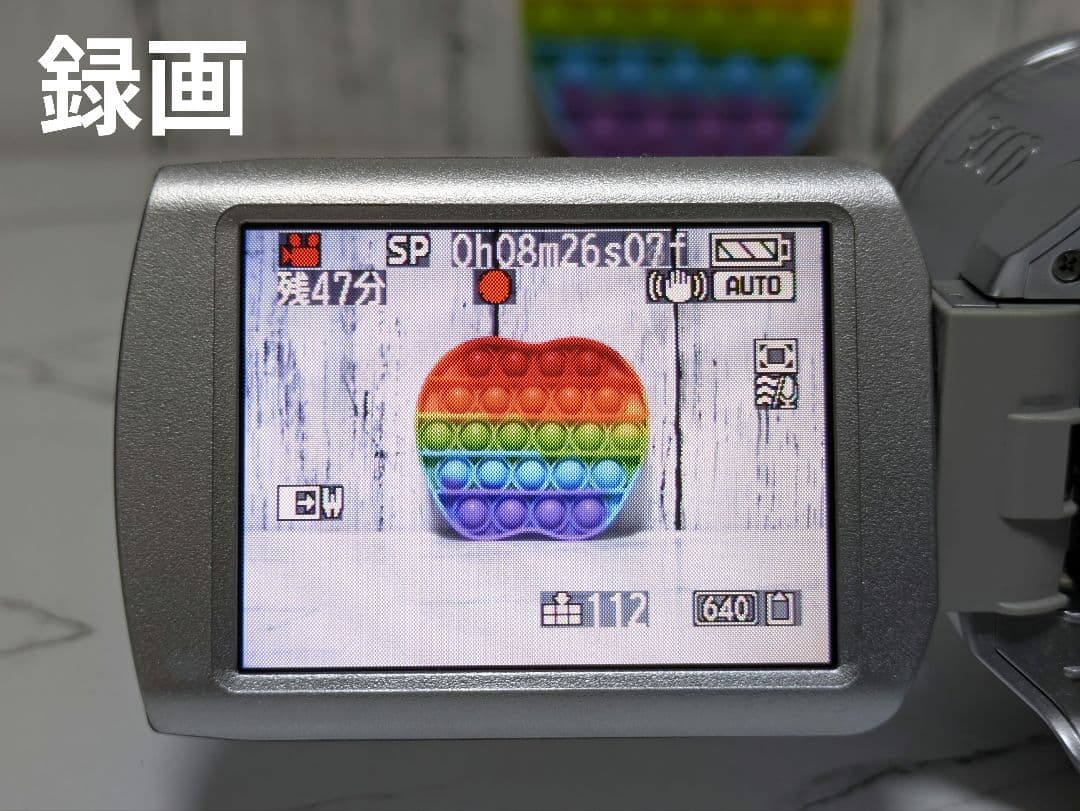 Panasonic　NV-GS250　MiniDV対応