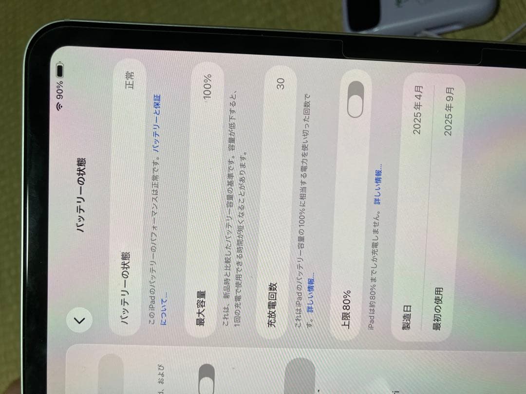 Apple iPad Pro M4 11インチ バッテリー 100％